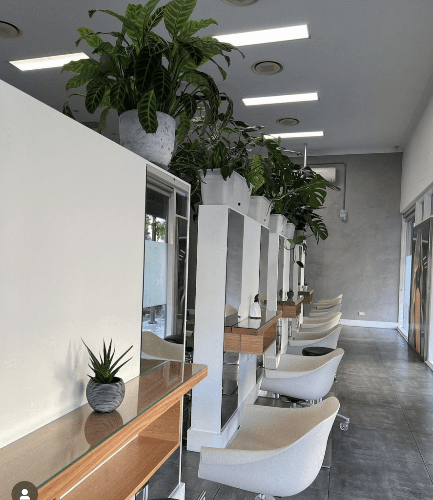An image of Yots Hair, a modern-style salon, filled with vibrant green plants